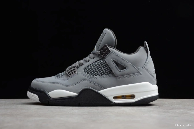 Cool Grey 308497-007 Jordan Retro (2019) Air 4 0711